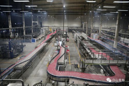 優化營商環境助力企業發展 臨江市礦泉飲品產業動能強勁與技術推廣服務