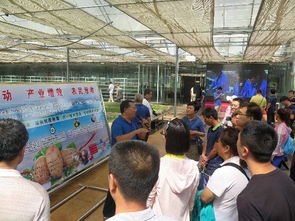 技術(shù)推廣服務(wù)中心 驅(qū)動創(chuàng)新落地的核心引擎